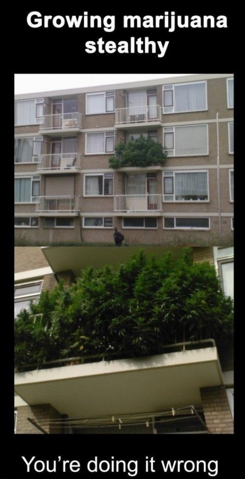 hornoxe.com_picdump199_041