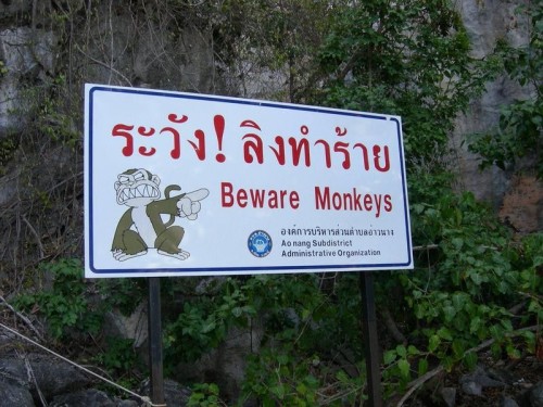 hornoxe.com_picdump199_065