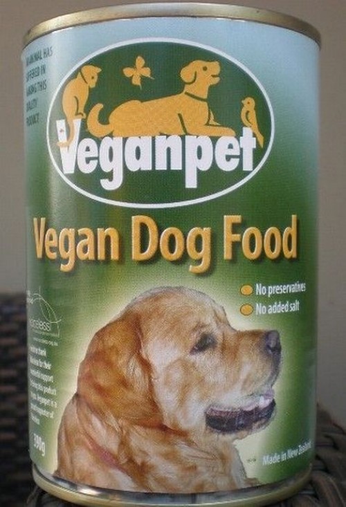 hornoxe.com_picdump199_073