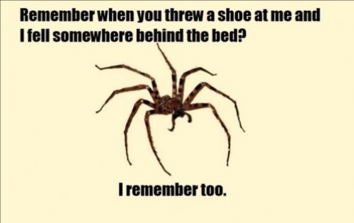 hornoxe.com_picdump199_087