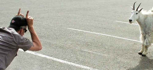 hornoxe.com_picdump199_092