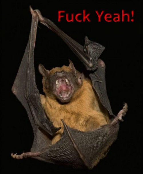 hornoxe.com_picdump200_036