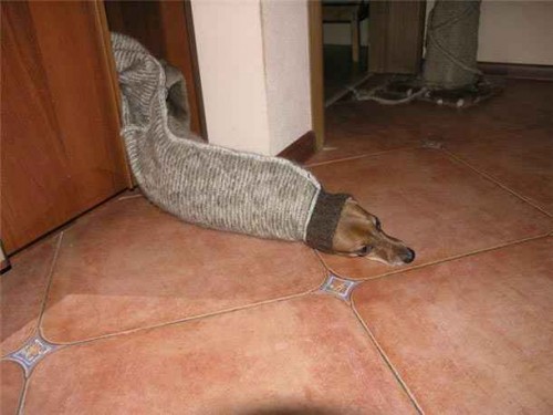 hornoxe.com_picdump200_051