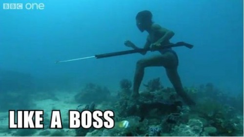 hornoxe.com_picdump200_175