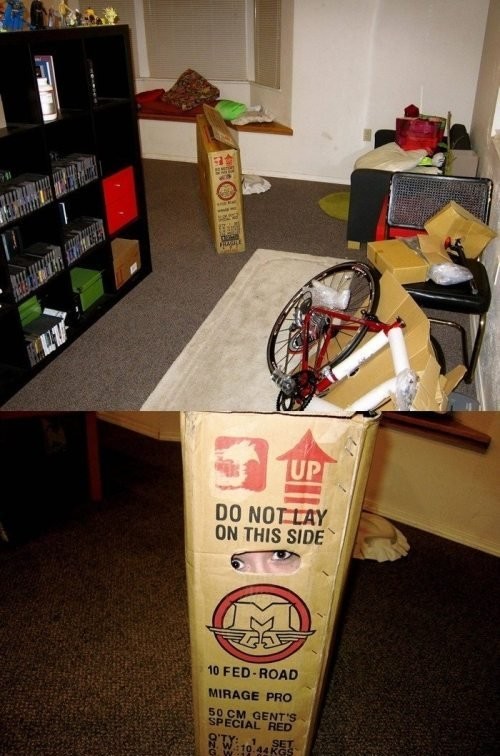 hornoxe.com_picdump200_194