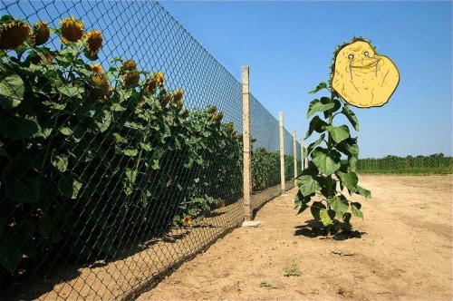 hornoxe.com_picdump201_02