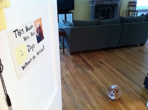 hornoxe.com_picdump201_46