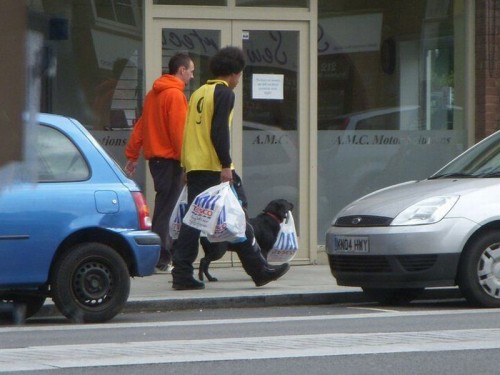 hornoxe.com_picdump201_52