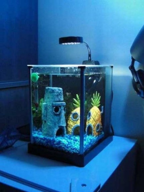 hornoxe.com_picdump201_58