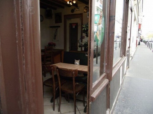 hornoxe.com_picdump201_67