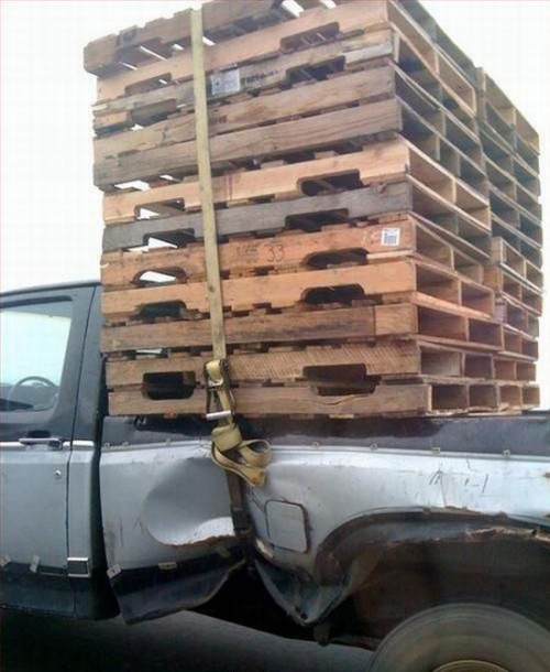 hornoxe.com_picdump202_013