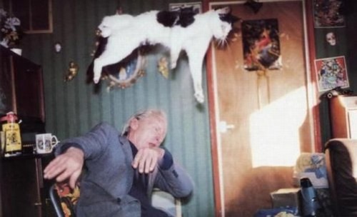 hornoxe.com_picdump202_067