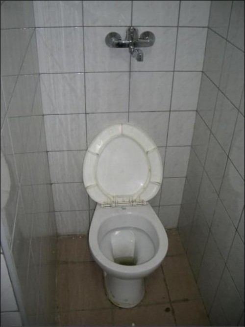 hornoxe.com_picdump202_072