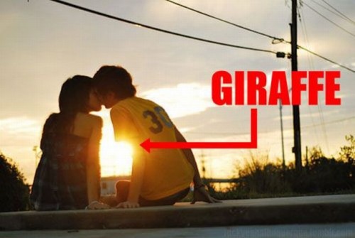 hornoxe.com_picdump202_076