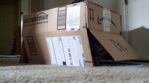 hornoxe.com_picdump202_081