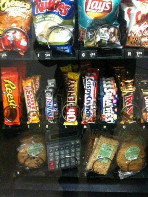 hornoxe.com_picdump202_088