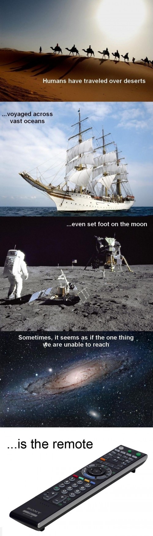 hornoxe.com_picdump204_042