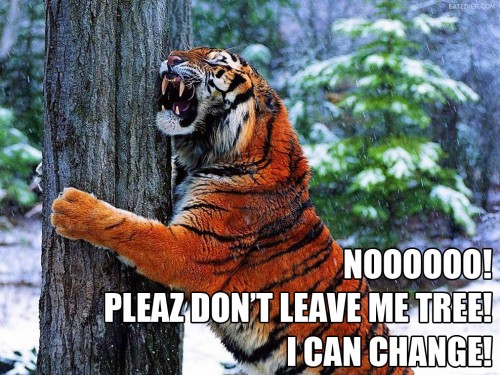 hornoxe.com_picdump204_049