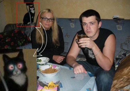 hornoxe.com_picdump204_051