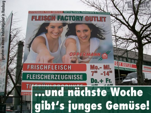 hornoxe.com_picdump204_097