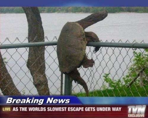 hornoxe.com_picdump205_023