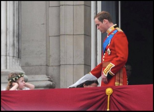 hornoxe.com_picdump205_042