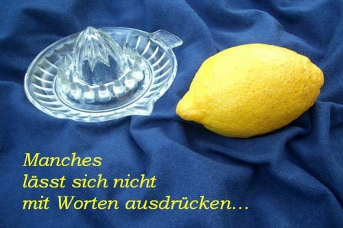 hornoxe.com_picdump205_045