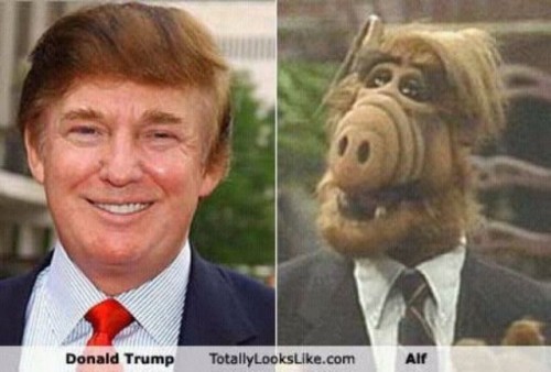 hornoxe.com_picdump205_093