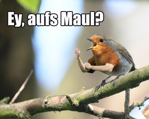 hornoxe.com_picdump205_096