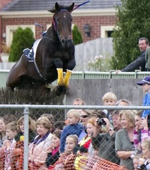 hornoxe.com_picdump206_065