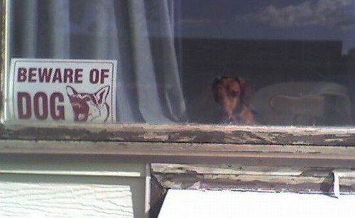 hornoxe.com_picdump206_075