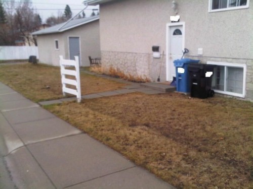 hornoxe.com_picdump206_087