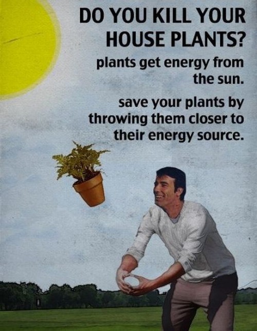 hornoxe.com_picdump206_095