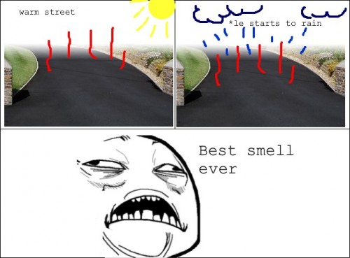 hornoxe.com_picdump206_132