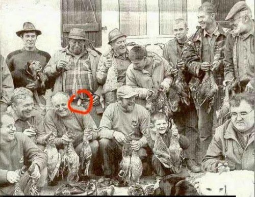 hornoxe.com_picdump207_017