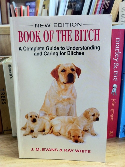 hornoxe.com_picdump207_049