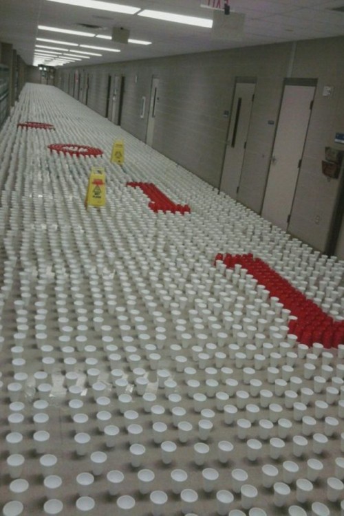 hornoxe.com_picdump207_069