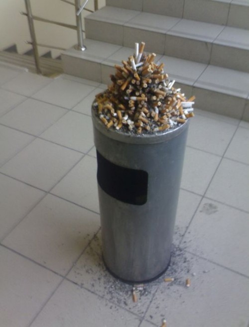 hornoxe.com_picdump207_087