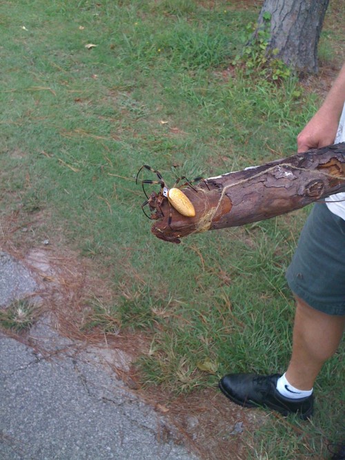 hornoxe.com_picdump207_122