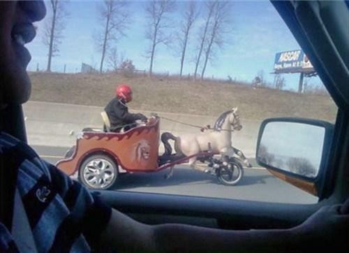 hornoxe.com_picdump209_007