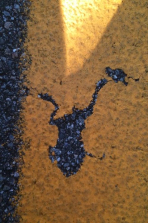 hornoxe.com_picdump209_011