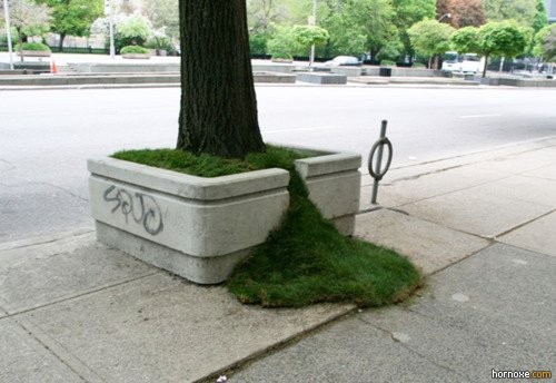 hornoxe.com_picdump209_027