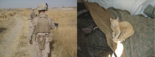 hornoxe.com_picdump209_033