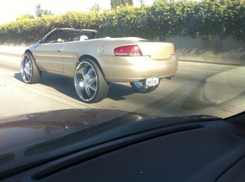 hornoxe.com_picdump209_038