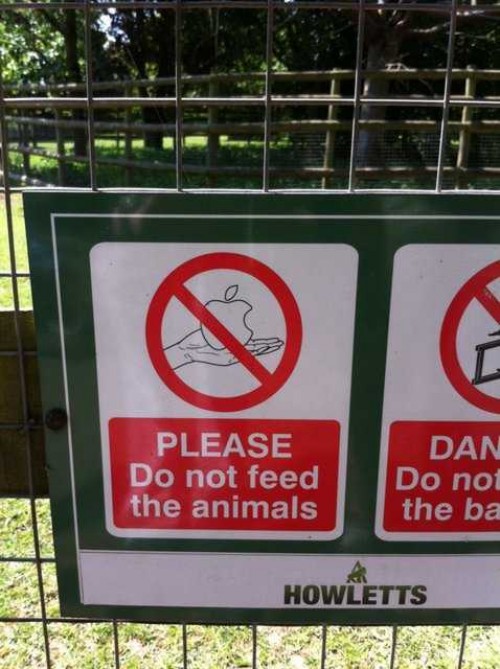 hornoxe.com_picdump209_049