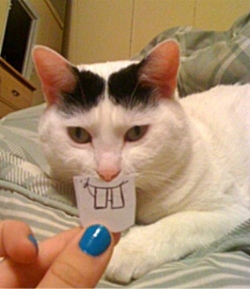 hornoxe.com_picdump209_107