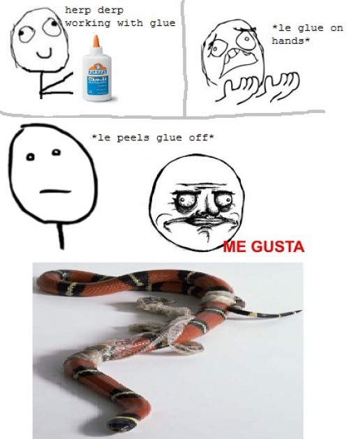 hornoxe.com_picdump209_108