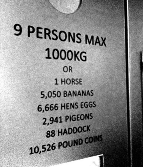 hornoxe.com_picdump214_013