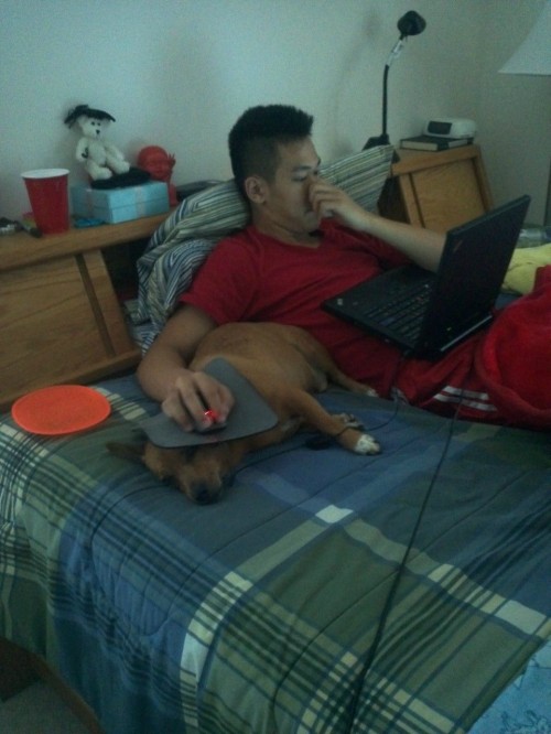 hornoxe.com_picdump214_042