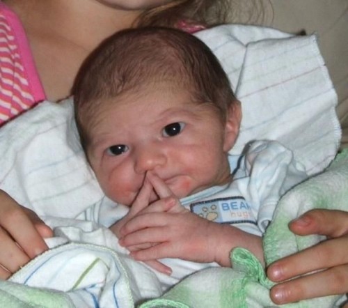 hornoxe.com_picdump214_044